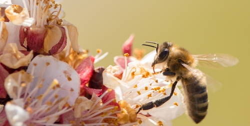 Janosch Diggelmann / unsplash,com